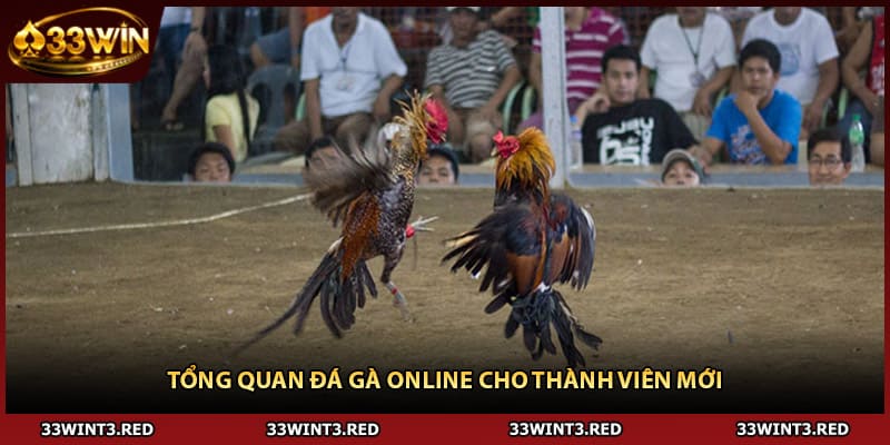 Đá Gà Online - Bí Quyết Chiến Thắng Từ Cao Thủ 1 Tổng quan đá gà online cho thành viên mới